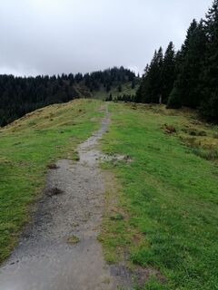 Fotografija s spletne strani M-C-B na poti