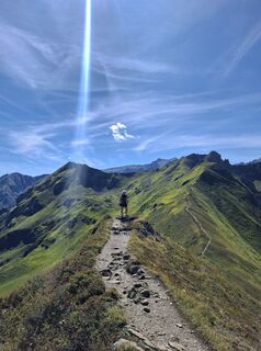 Fotografija s spletne strani friso wolthuizen na poti