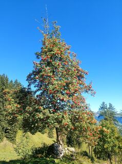Foto van Nathalie Hofer langs de tour