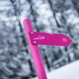 Markierung Schneeschuhtrail
