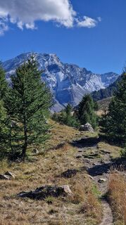 Foto da Fabrizi Mellano lungo il tour