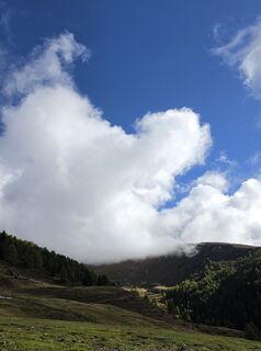 Fotografija s spletne strani Gudrun Lippert na poti