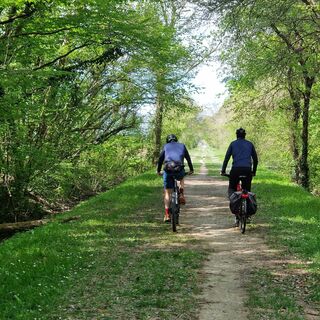 Muzzana del Turgnano - Bosco Baredi