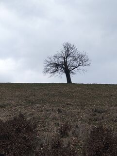 Foto von Daniele Berini entlang der Tour