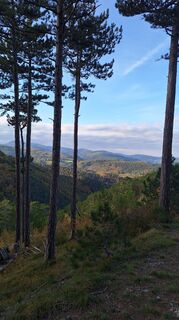 Fotografia z Aga M na trase