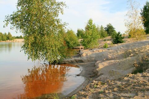 Goitzsche-Wildnis