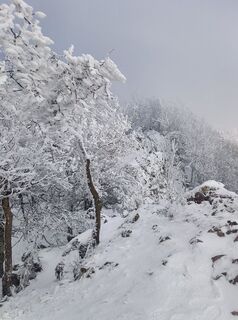 Foto von Mário plesnik entlang der Tour
