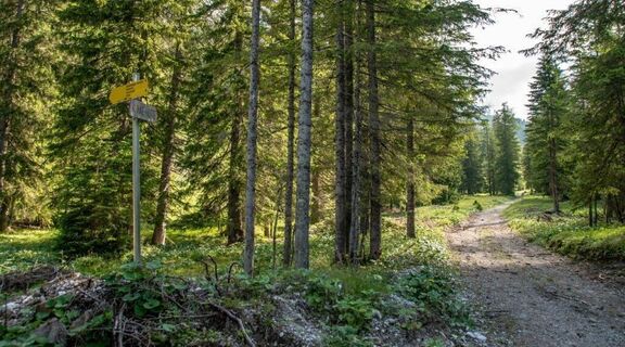 erste Abzweigung Links richtung Klinkehütte