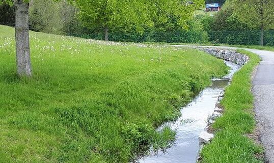 Floßgraben im Kurpark in Bad Schlema