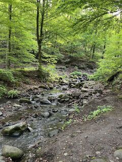 Foto von Lili Bártfai entlang der Tour