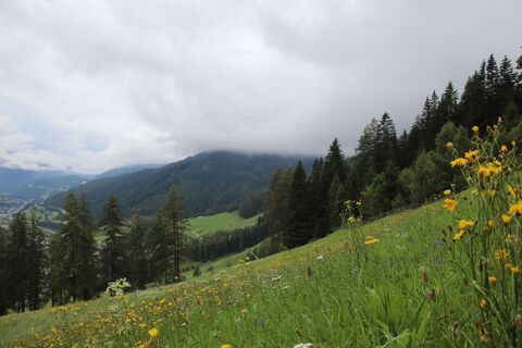 Fotografia z Günter Kleutsch na trase