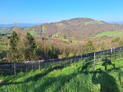 Fotografia z Johann Kaltenegger na trase