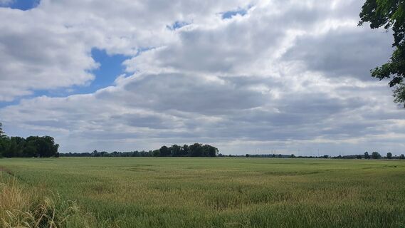 Blick in die Elbeniederung