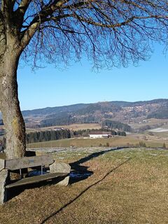 Foto von Harald entlang der Tour