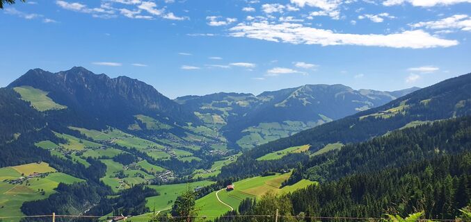 Fotografia z Gerrit van der Linde na trase