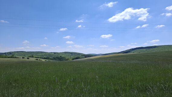 Photo de Márti le long du parcours