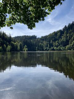 Foto von Franco Nicastro 1 entlang der Tour