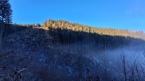 Photo de Regina Fleischmann le long du parcours