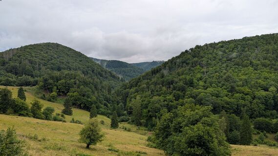 Photo de Chris gST le long du parcours