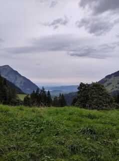 Foto von King Kong entlang der Tour