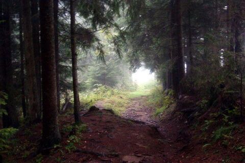 Ein schöner Pilgerweg