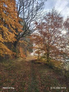 Foto de Fredi Oppel a lo largo del recorrido