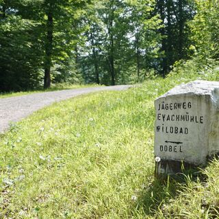 Dem Jägerweg folgen wir in Richtung Dobel.