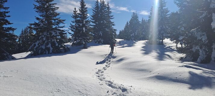 Foto von Glanzer Julius entlang der Tour
