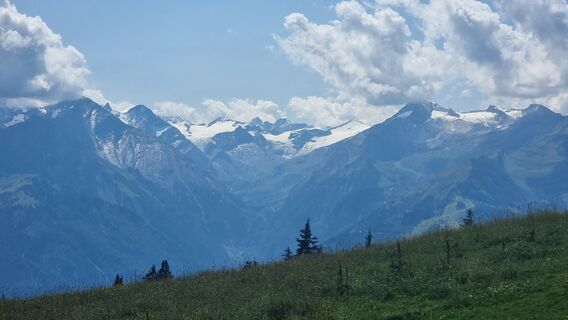 Photo de Jonas Hork le long du parcours