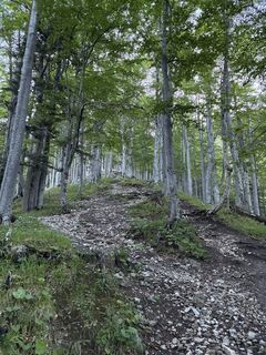 Fotografija s spletne strani Luciano na poti