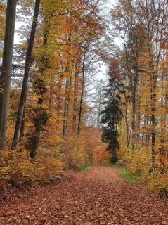 Foto von Bairebike entlang der Tour