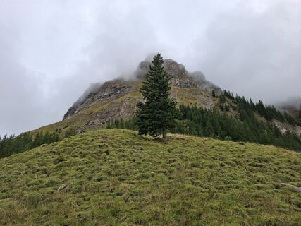 Photo de Maurer Silvia le long du parcours