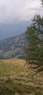 Foto von JoesBurg entlang der Tour