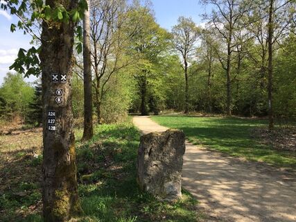 Naturerlebnispfad Hohe Bracht