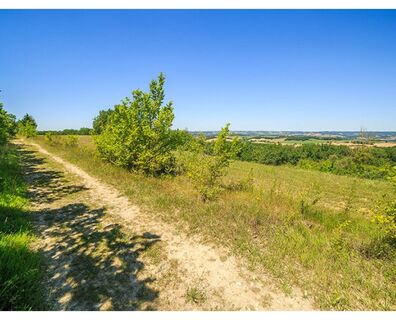 Chemin du Pastel