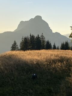 Fotó a Angela honlapról a túra során