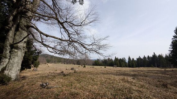 Foto de wernhard a lo largo del recorrido