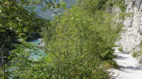 Hängebrücke über Soča