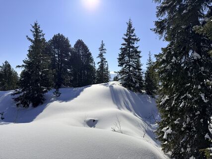 Fotografie z Ardvanduuren na trase