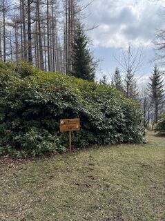 Foto von Anne Scharf entlang der Tour