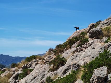 Photo de Gallenkamp le long du parcours