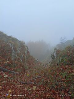 Photo de Alessandro Del Maro le long du parcours