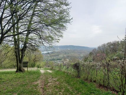 Foto von Monika Hoppelpoppel entlang der Tour