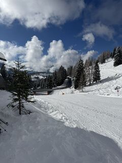 Photo de Ina Scheunemann le long du parcours