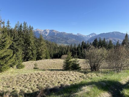 Fotografija s spletne strani Dávid Mayer 5 na poti