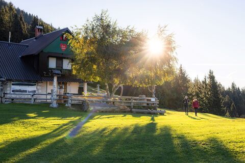 Zabreška Planina Alm