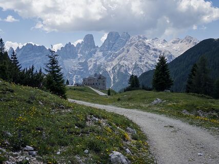 Photo de Berry de haas le long du parcours