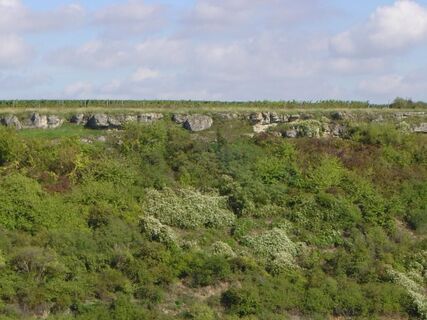 Herxheim am Berg - Karsthöhle NSG Berntal-Felsenbg