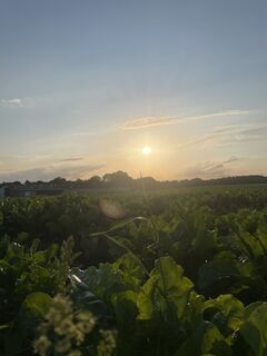 Photo from Pius Kemper along the tour