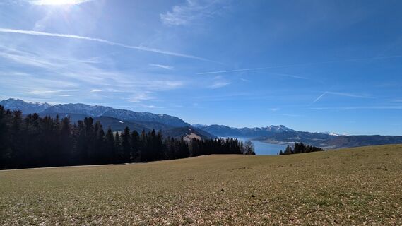 Photo de Ziegler Em1304 le long du parcours